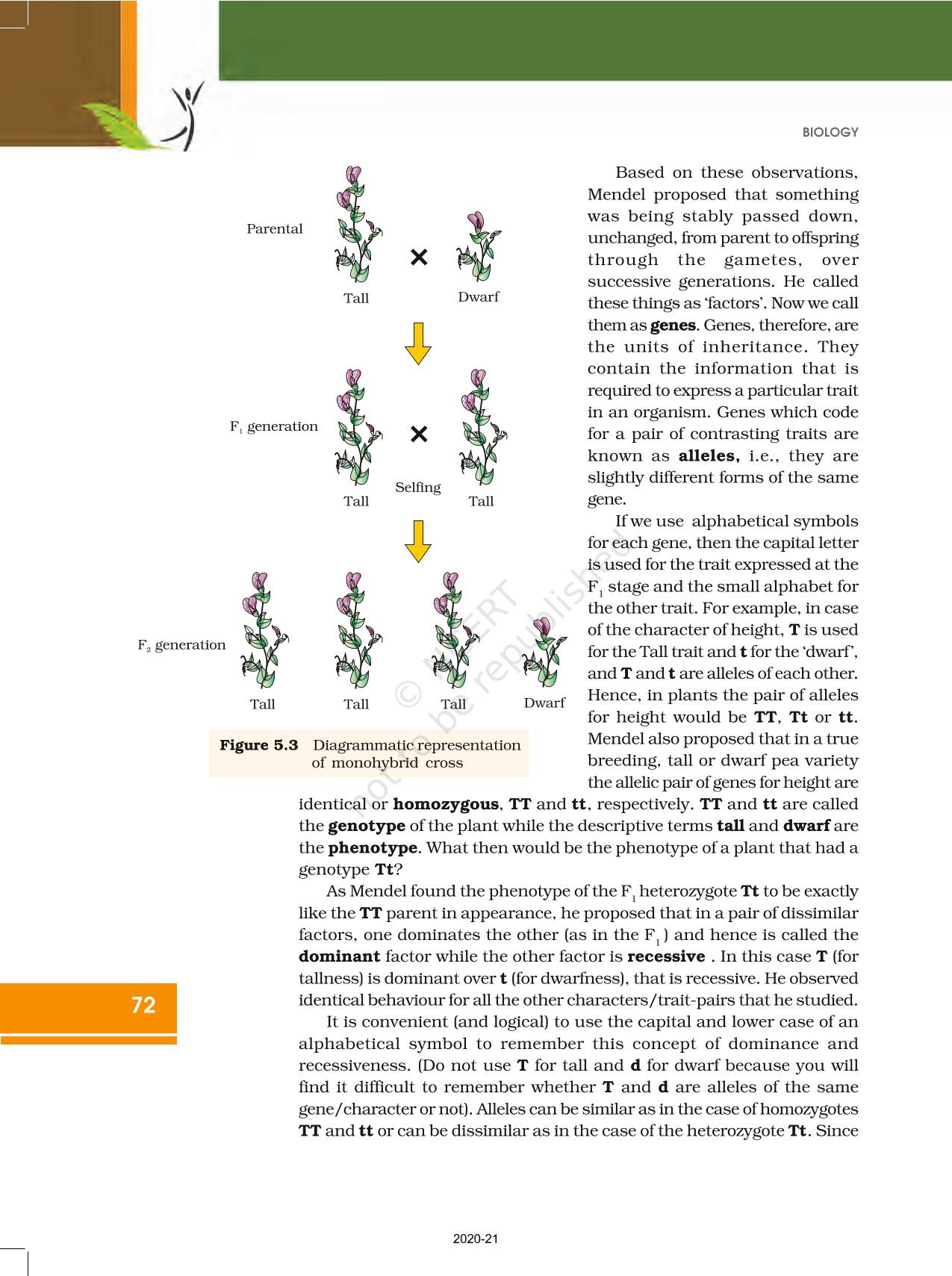 Principles Of Inheritance And Variation Ncert Book Of Class 12 Biology